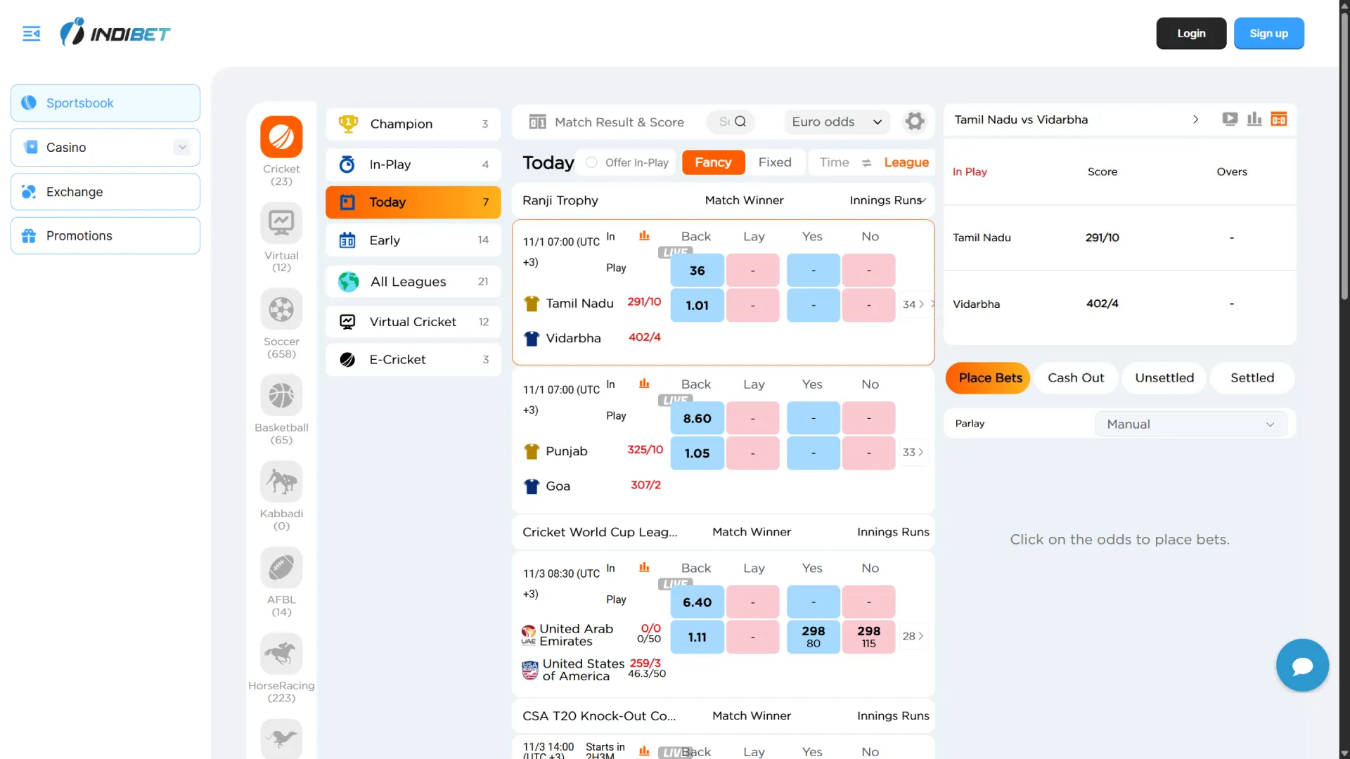 Enter the Indibet main page.